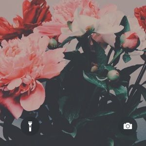 Meet your Posher, Joyce